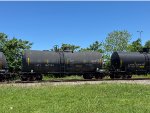 NATX 160261